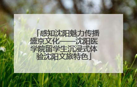 感知沈阳魅力传播盛京文化——沈阳医学院留学生沉浸式体验沈阳文旅特色