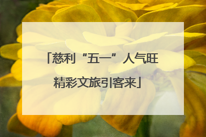 慈利“五一”人气旺 精彩文旅引客来