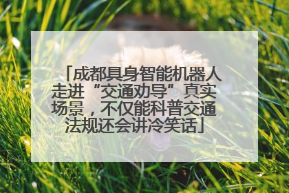 成都具身智能机器人走进“交通劝导”真实场景，不仅能科普交通法规还会讲冷笑话