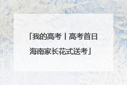 我的高考丨高考首日 海南家长花式送考