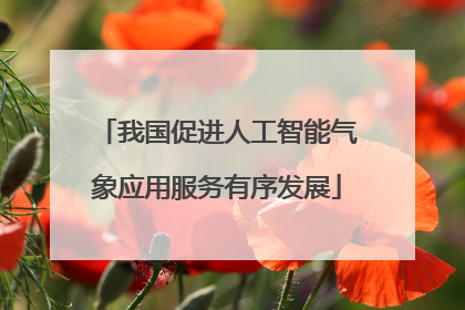我国促进人工智能气象应用服务有序发展