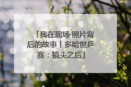我在现场·照片背后的故事丨多哈世乒赛：镜头之后
