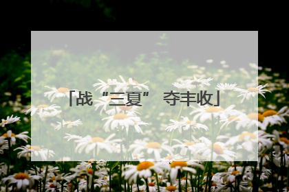 战“三夏” 夺丰收