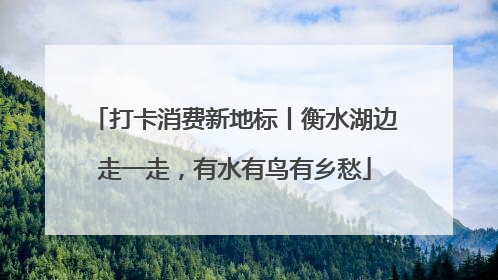 打卡消费新地标丨衡水湖边走一走，有水有鸟有乡愁