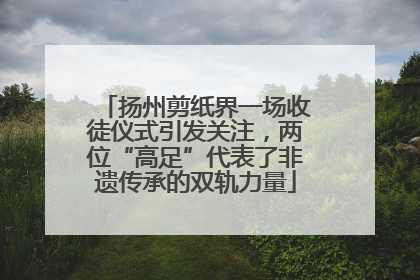 扬州剪纸界一场收徒仪式引发关注，两位“高足”代表了非遗传承的双轨力量