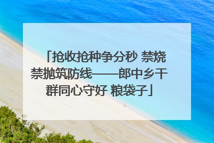 抢收抢种争分秒 禁烧禁抛筑防线——郎中乡干群同心守好 粮袋子