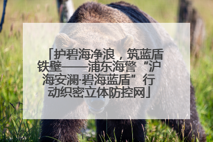 护碧海净浪，筑蓝盾铁壁——浦东海警“沪海安澜·碧海蓝盾”行动织密立体防控网