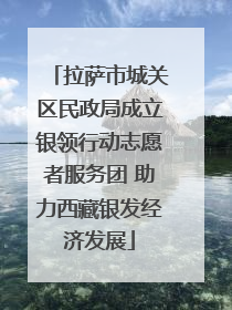 拉萨市城关区民政局成立银领行动志愿者服务团 助力西藏银发经济发展