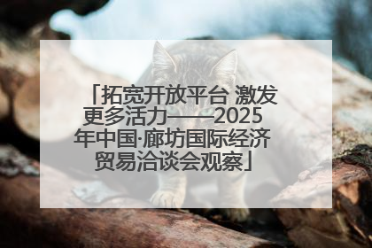 拓宽开放平台 激发更多活力——2025年中国·廊坊国际经济贸易洽谈会观察