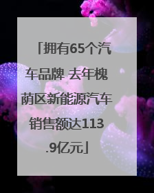 拥有65个汽车品牌 去年槐荫区新能源汽车销售额达113.9亿元