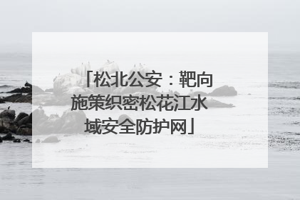 松北公安：靶向施策织密松花江水域安全防护网