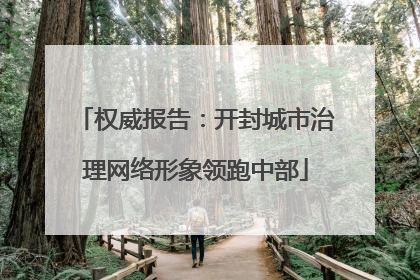 权威报告：开封城市治理网络形象领跑中部