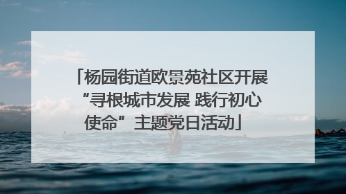 杨园街道欧景苑社区开展“寻根城市发展 践行初心使命”主题党日活动