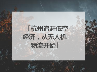 杭州追赶低空经济，从无人机物流开始