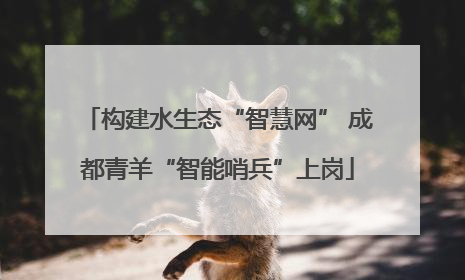 构建水生态“智慧网” 成都青羊“智能哨兵”上岗
