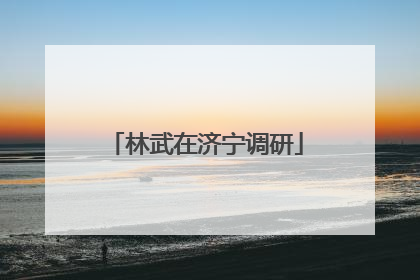 林武在济宁调研