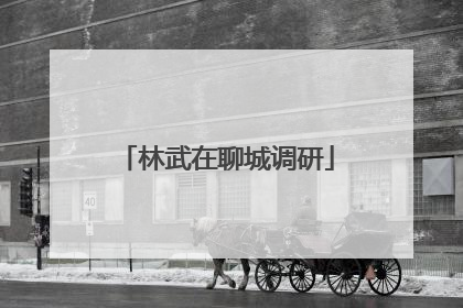 林武在聊城调研