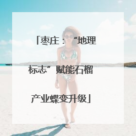 枣庄：“地理标志”赋能石榴产业蝶变升级