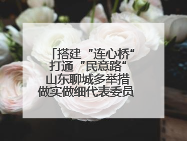 搭建“连心桥” 打通“民意路” 山东聊城多举措做实做细代表委员联络工作