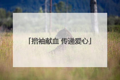撸袖献血 传递爱心
