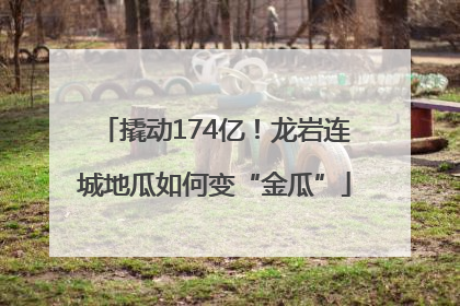 撬动174亿！龙岩连城地瓜如何变“金瓜”