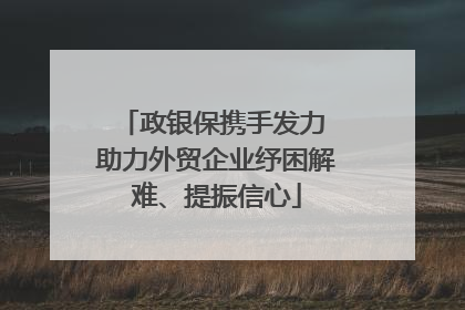 政银保携手发力 助力外贸企业纾困解难、提振信心
