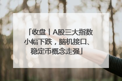 收盘丨A股三大指数小幅下跌，脑机接口、稳定币概念走强