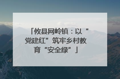 攸县网岭镇：以“党建红”筑牢乡村教育“安全绿”