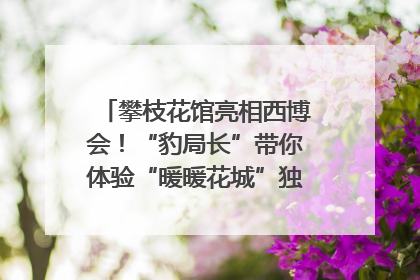 攀枝花馆亮相西博会！“豹局长”带你体验“暖暖花城”独特魅力｜西博视界