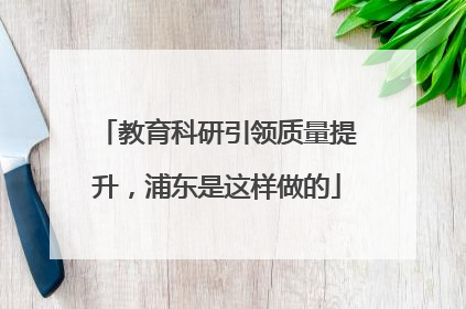 教育科研引领质量提升，浦东是这样做的