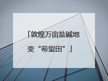 敦煌万亩盐碱地变“希望田”