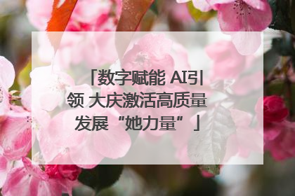 数字赋能 AI引领 大庆激活高质量发展“她力量”