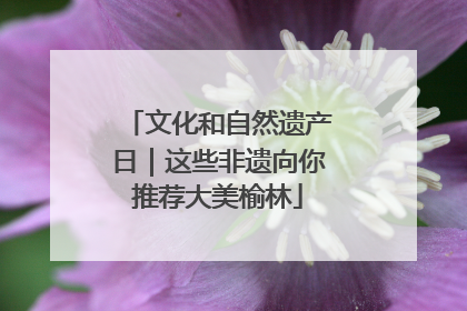 文化和自然遗产日｜这些非遗向你推荐大美榆林
