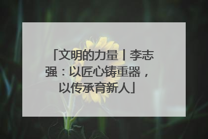 文明的力量丨李志强：以匠心铸重器，以传承育新人