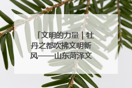 文明的力量｜牡丹之都吹拂文明新风——山东菏泽文明创建一线见闻