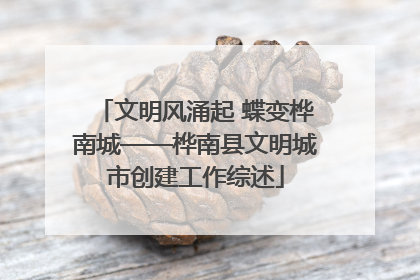 文明风涌起 蝶变桦南城——桦南县文明城市创建工作综述