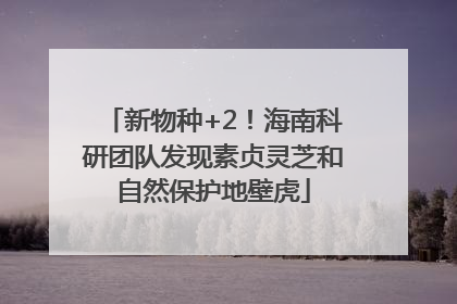 新物种+2！海南科研团队发现素贞灵芝和自然保护地壁虎
