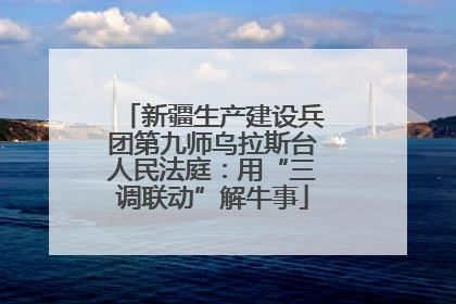 新疆生产建设兵团第九师乌拉斯台人民法庭：用“三调联动”解牛事
