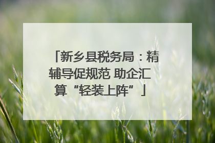 新乡县税务局：精辅导促规范 助企汇算“轻装上阵”