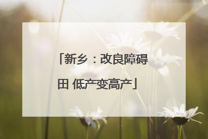 新乡：改良障碍田 低产变高产