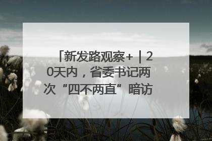 新发路观察+｜20天内，省委书记两次“四不两直”暗访，有何深意？