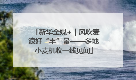 新华全媒+｜风吹麦浪好“丰”景——多地小麦机收一线见闻