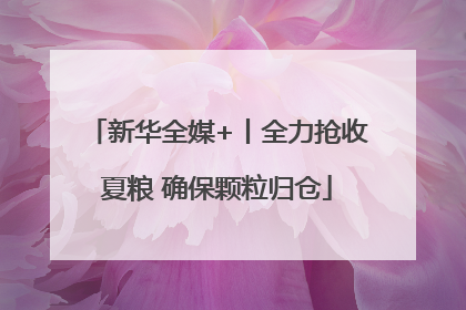 新华全媒+丨全力抢收夏粮 确保颗粒归仓