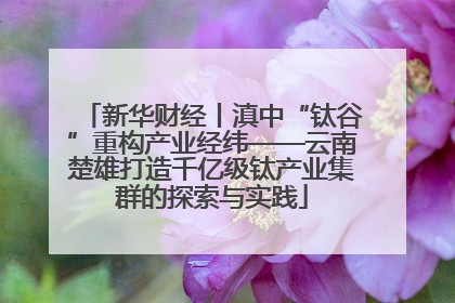 新华财经丨滇中“钛谷”重构产业经纬——云南楚雄打造千亿级钛产业集群的探索与实践