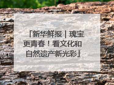 新华鲜报｜瑰宝更青春！看文化和自然遗产新光彩