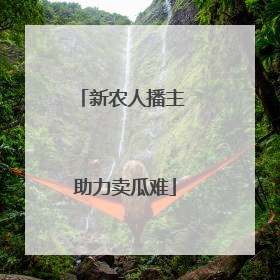 新农人播主 助力卖瓜难