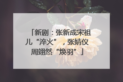 新剧：张新成宋祖儿“淬火”，张婧仪周翊然“焕羽”
