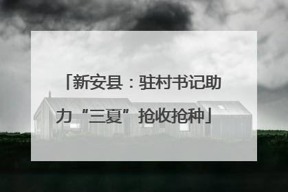 新安县：驻村书记助力“三夏”抢收抢种