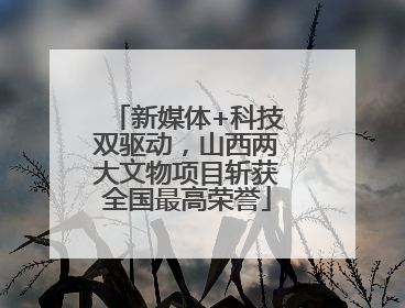 新媒体+科技双驱动，山西两大文物项目斩获全国最高荣誉
