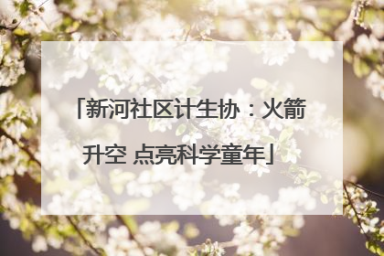 新河社区计生协：火箭升空 点亮科学童年